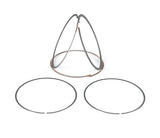 RaceOrly PISTON RINGS 4.2 - 1357861