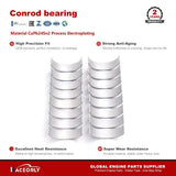 RaceOrly 2010 CON ROD BEARING - 2010 CON
