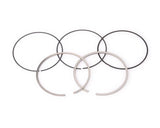 RaceOrly PISTON RING 5.0T LR028148 - 2010 RING
