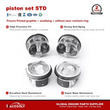 RaceOrly PISTON SET STD - 2.0 PISTON