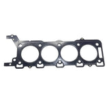 RaceOrly GASKET STANDARD - 4628400