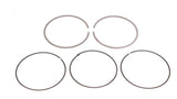 RaceOrly PISTON RING SET - 4668056