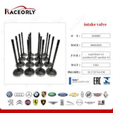 RaceOrly INTAKE VALVE 4646004 - LR002447