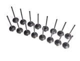 RaceOrly VALVE INLET - LR010863