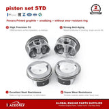 RaceOrly PISTON SET STD - LR012455HSZC