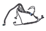 RaceOrly HOSE - LR034637