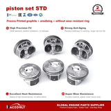 RaceOrly PISTON SET STD - LR041639HSZC