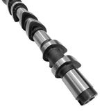 RaceOrly CAMSHAFT RIGHT INTAKE I0603005 - LR041669