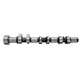 RaceOrly CAMSHAFT LEFT EXHAUST I0603007 - LR041672
