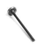 RaceOrly VALVE - EXHAUST - LR073779