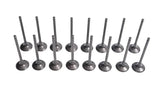 RaceOrly VALVE EXHUAST - LR082739