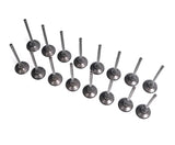 RaceOrly VALVE EXHUAST - LR082739