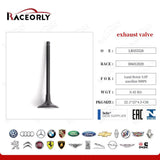 RaceOrly VALVE EXHUAST - LR082739