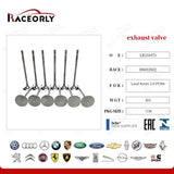 RaceOrly VALVE - EXHAUST LR134473 - LR091763