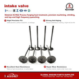RaceOrly INTAKE VALVE LR124745 - LR091764