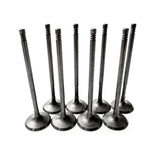 RaceOrly INTAKE VALVE LR124745 - LR091764