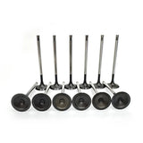 RaceOrly VALVE INTAKE DEFENDER - LR146779