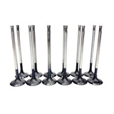 RaceOrly VALVE INTAKE DEFENDER - LR146779