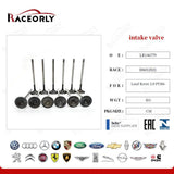 RaceOrly VALVE INTAKE DEFENDER - LR146779